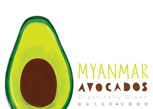 Myanmar avocados, organically grown