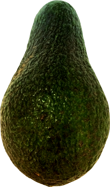 Long gourd avocado