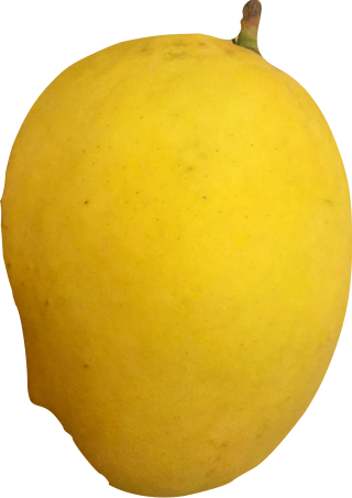 Sein Ta Lone mango