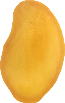 Ripe Sein Ta Lone mango