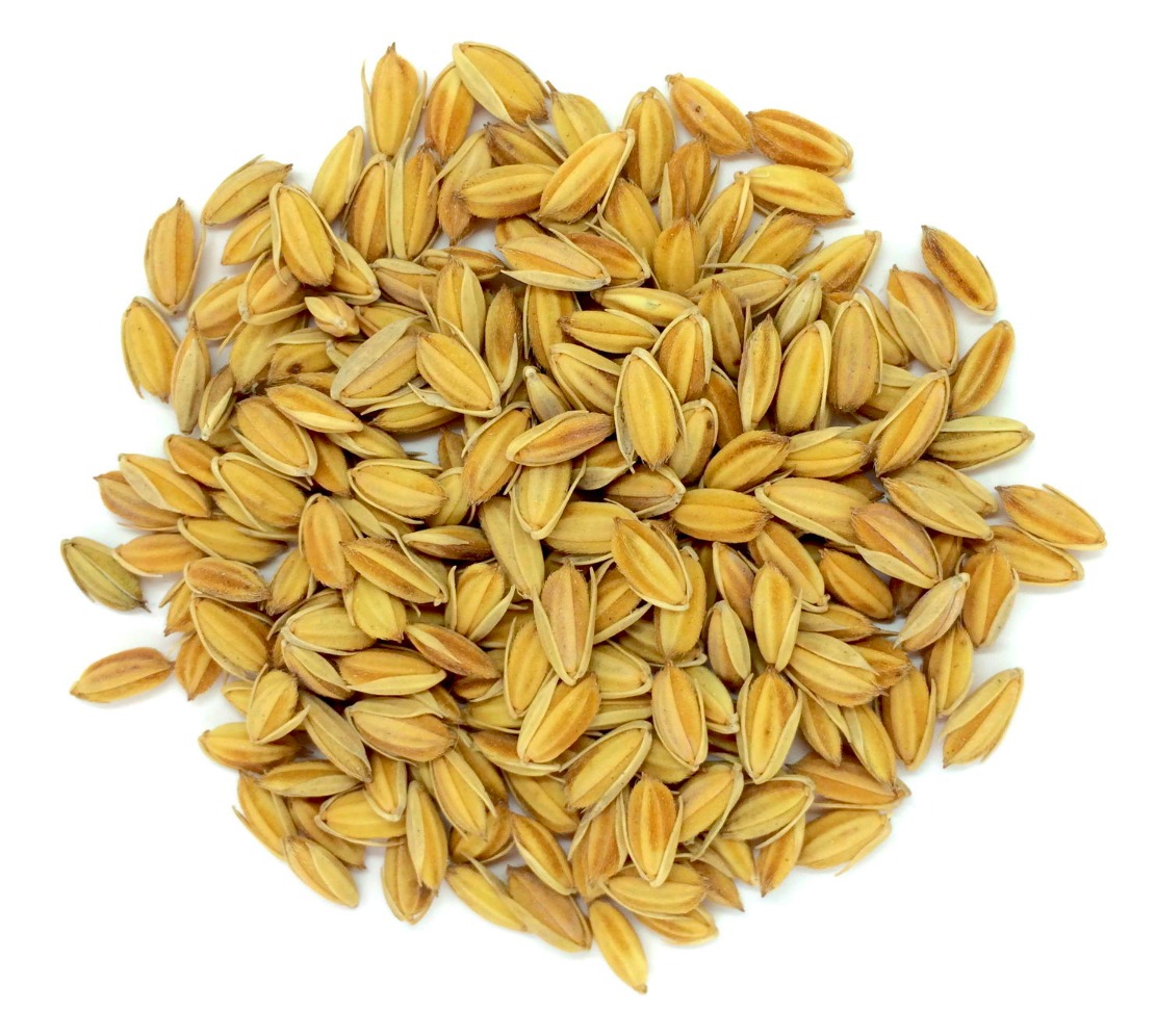 Unmilled paddy rice
