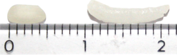 Raw and cooked Pawsan grains beside a ruler