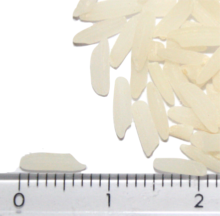 Ayeyarmin grains beside a ruler