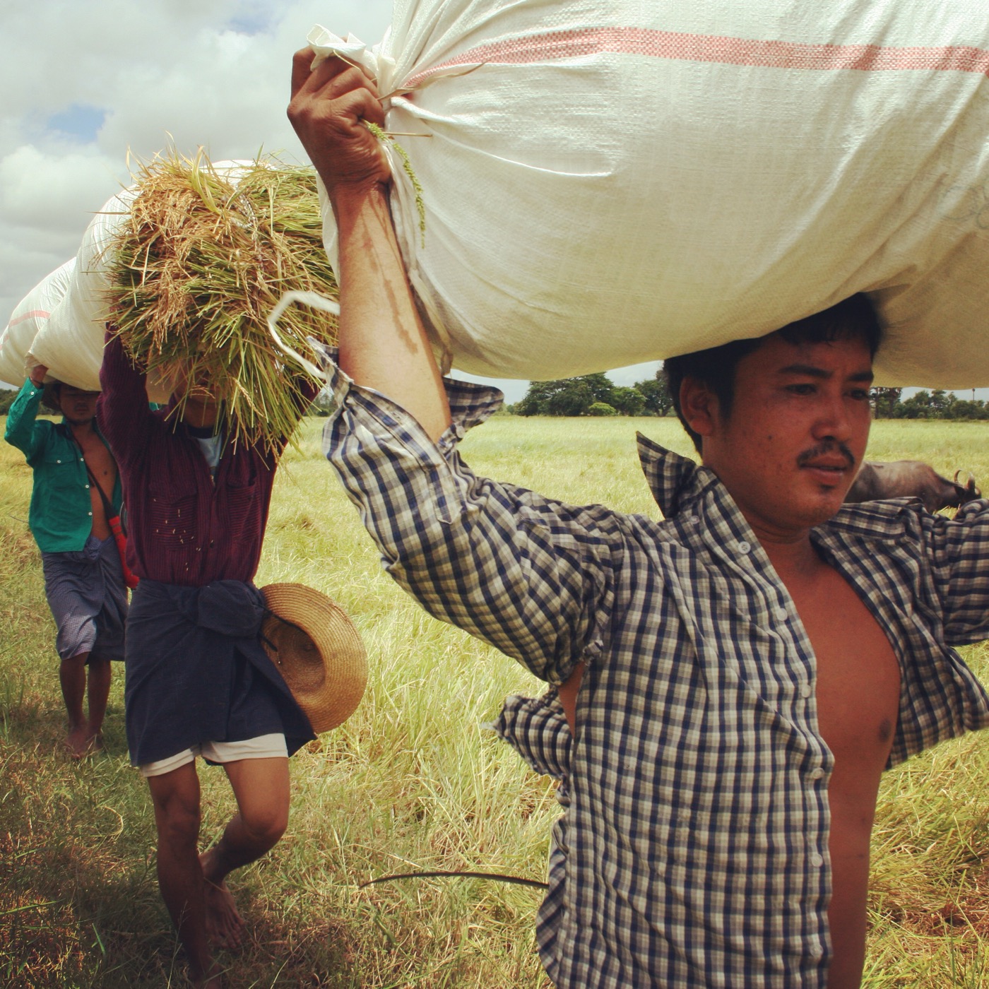 Farmers carrying sacks of grain