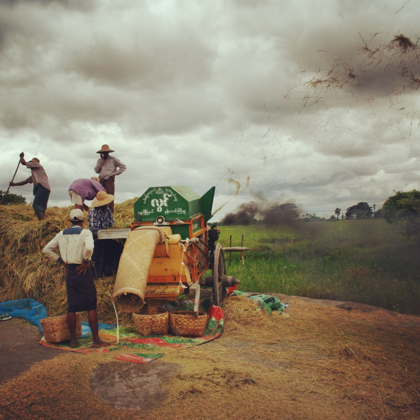 Rice threshing